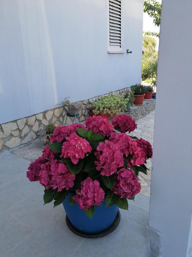 Apartman Antonija PUY Exterior foto
